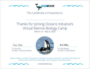 Marine-Biology-Camp-Certificate-1150x880 | Oceans Initiative Oceans